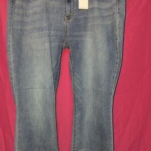 Classic Blue Women's Jeans